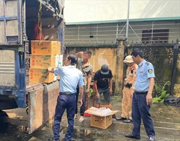 Quảng Ninh: Phát hiện, bắt giữ nhiều vụ vi phạm về an toàn thực phẩm
