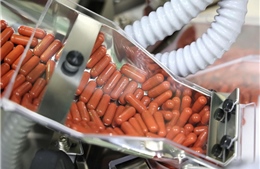 Nhật Bản: Dự kiến tiêu hủy 77% số thuốc dự trữ điều trị COVID-19