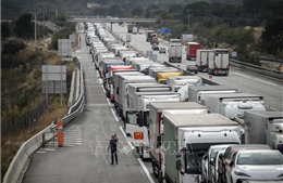 Các nước EU thông qua luật cắt giảm khí thải CO2 từ xe tải