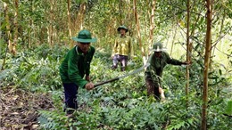 Hỗ trợ kinh phí phát triển sinh kế, cải thiện đời sống người dân vùng đệm các khu rừng đặc dụng