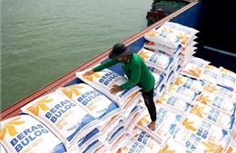 Nguồn cung tăng khiến giá gạo xuất khẩu đi xuống