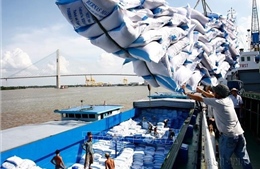 Nắm bắt chính sách để duy trì vị trí xuất khẩu gạo số 1 tại Philippines