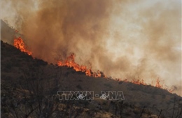 Trên 52.000 người tử vong trong thập kỷ qua do ô nhiễm từ cháy rừng ở California (Mỹ)