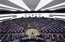 Bầu cử EP: Các chính đảng ở Đức nỗ lực vận động &#39;giờ chót&#39;