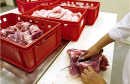 Trung Quốc có thể áp thuế chống bán phá giá tạm thời đối với thịt lợn nhập khẩu từ EU