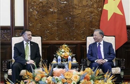 Chủ tịch nước Tô Lâm tiếp Đại sứ Australia