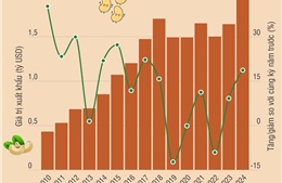 Sáu tháng năm 2024 xuất khẩu hạt điều tăng 18,7%