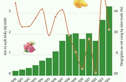 Sáu tháng năm 2024 xuất khẩu rau quả tăng 24,3%