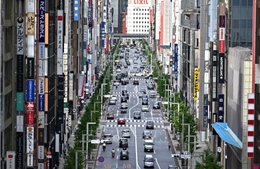 Nhật Bản xem xét tăng mức phạt vi phạm quy định về nồng độ cồn