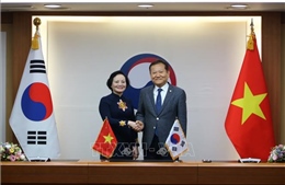 Thúc đẩy hợp tác trong lĩnh vực hành chính công Việt Nam - Hàn Quốc