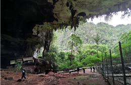 Thêm một địa danh của Malaysia được UNESCO công nhận là Di sản thế giới