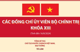 Các đồng chí Ủy viên Bộ Chính trị khóa XIII