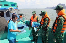 Kiên Giang: Xử lý nghiêm tàu cá vi phạm khai thác IUU