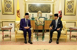 Hội nghị tham vấn thường niên Malaysia - Brunei