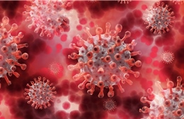 Kazakhstan ghi nhận hàng chục ca nhiễm virus HMPV