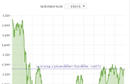 Phiên 24/9, VN-Index tăng gần 9 điểm