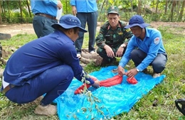 Kiên Giang: Cất bốc 19 hài cốt liệt sĩ