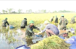 Lên kế hoạch phục hồi sản xuất sau bão lũ theo hướng linh hoạt, an toàn