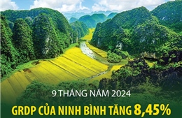 Chín tháng năm 2024, GRDP của Ninh Bình tăng 8,45%