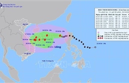 Chủ động ứng phó bão số 6 gây mưa lớn ở Trung Bộ và gió mạnh, sóng lớn trên biển
