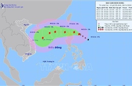 Các tỉnh, thành phố từ Quảng Ninh đến Bình Thuận chủ động ứng phó bão YINXING