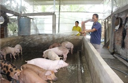 Phát huy nội lực của đồng bào dân tộc thiểu số trong phát triển kinh tế