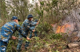 Cơ bản khống chế đám cháy rừng thực bì tại phường Bãi Cháy, Quảng Ninh