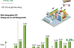 CPI tháng 12/2024 tăng 0,29%