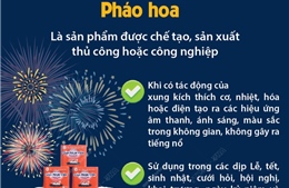 Người dân được sử dụng loại pháo nào?