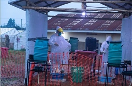 WHO triển khai nhóm y tế khẩn cấp hỗ trợ Uganda ứng phó dịch Ebola