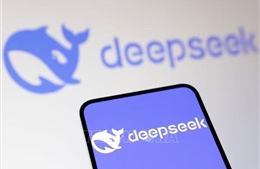 Nhiều nước cảnh giác với AI của DeepSeek