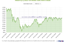 Phiên 13/2/2025: VN-Index tăng hơn 3 điểm