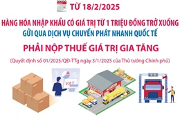 Hàng nhập khẩu từ 1 triệu đồng trở xuống gửi qua chuyển phát nhanh quốc tế phải nộp VAT