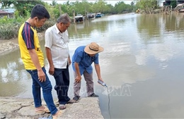 Xâm nhập mặn trên sông Hậu diễn biến phức tạp