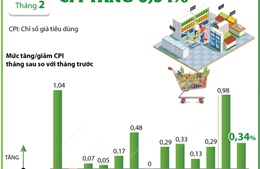 CPI tháng 2/2025 tăng 0,34%