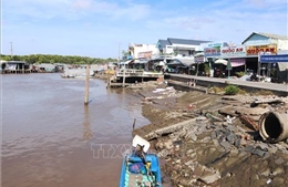 Cà Mau: Còn 43 hộ dân ở cửa biển Vàm Xoáy nằm trong nguy cơ sạt lở cao