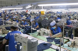 Cần giải pháp dài hạn để ứng phó chính sách thuế quan của Hoa Kỳ