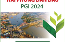 Hải Phòng dẫn đầu PGI 2024