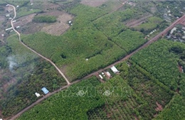 Phương án đầu tư tuyến đường kết nối tỉnh Bình Phước và tỉnh Đồng Nai qua cầu Mã Đà