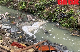 Hà Nội: Khẩn trương xử lý ô nhiễm môi trường kênh mương giữa khu dân cư