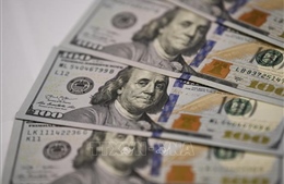 Tỷ giá hôm nay 6/5: Giá USD và NDT đồng loạt giảm