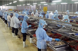 Bốn tháng đầu năm, Việt Nam xuất siêu 3,79 tỷ USD