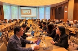 Việt Nam tham gia các phiên họp về phòng vệ thương mại tại WTO