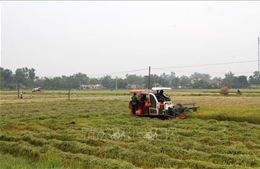 Ứng dụng tiến bộ kỹ thuật trong vụ Hè Thu - Mùa năm 2025