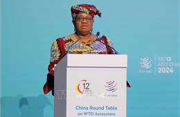 Tổng Giám đốc WTO: Thương mại tự do toàn cầu đang lâm vào khủng hoảng