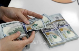 Tỷ giá hôm nay 14/5: Các ngân hàng giảm nhẹ giá USD và NDT