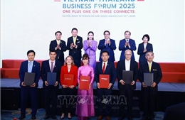 Thủ tướng Việt Nam và Thủ tướng Vương quốc Thái Lan đồng chủ trì Diễn đàn doanh nghiệp Việt Nam-Thái Lan