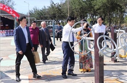 Phòng chống xói lở bờ biển Cửa Đại thông qua hành lang xanh