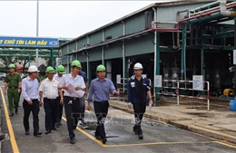 Kiểm tra việc chấp hành pháp luật đất đai tại Khu công nghiệp Biên Hòa 1