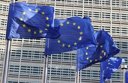 EU khẳng định nỗ lực đạt được thỏa thuận thương mại với Mỹ